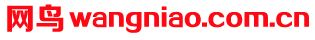 wangniao.com.cn